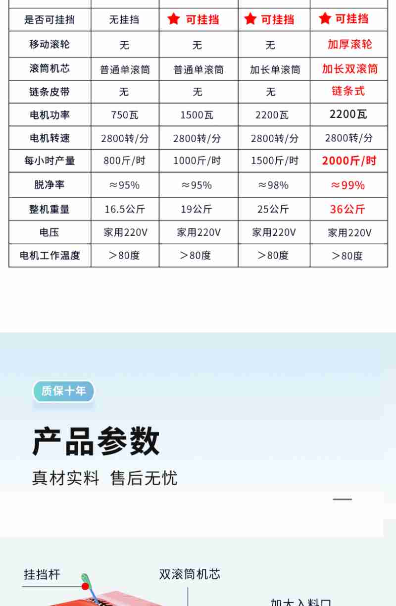 薛婷
